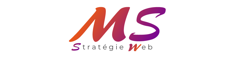 Ms Stratégie web
